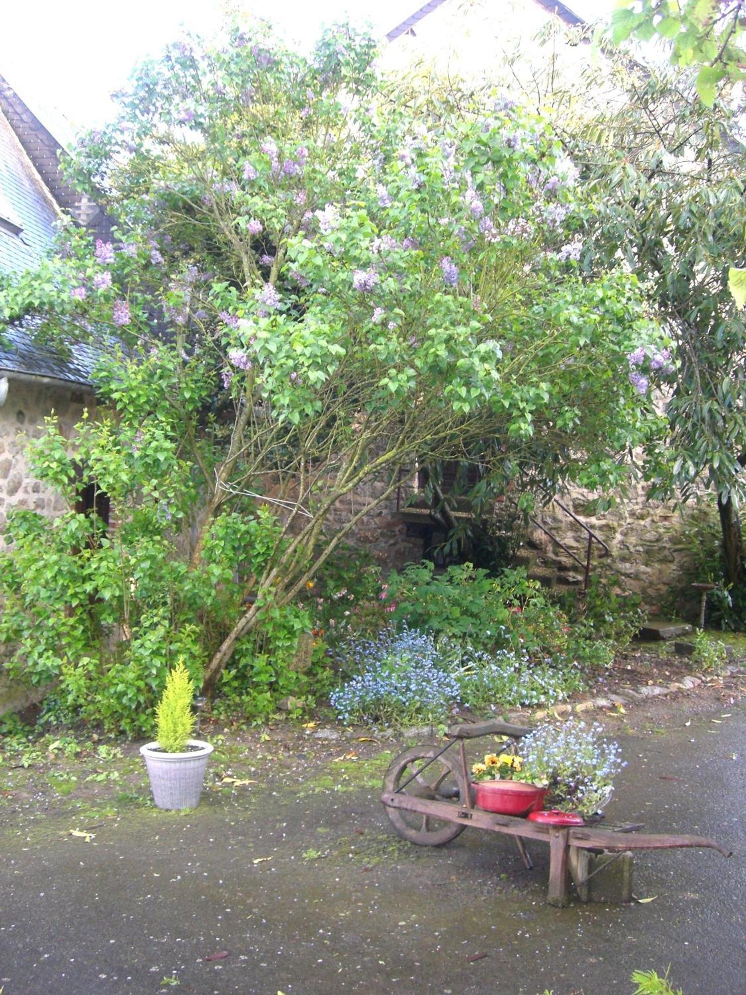 Chambres D'Hotes De La Ferme Auberge De Mesauboin Billé Εξωτερικό φωτογραφία